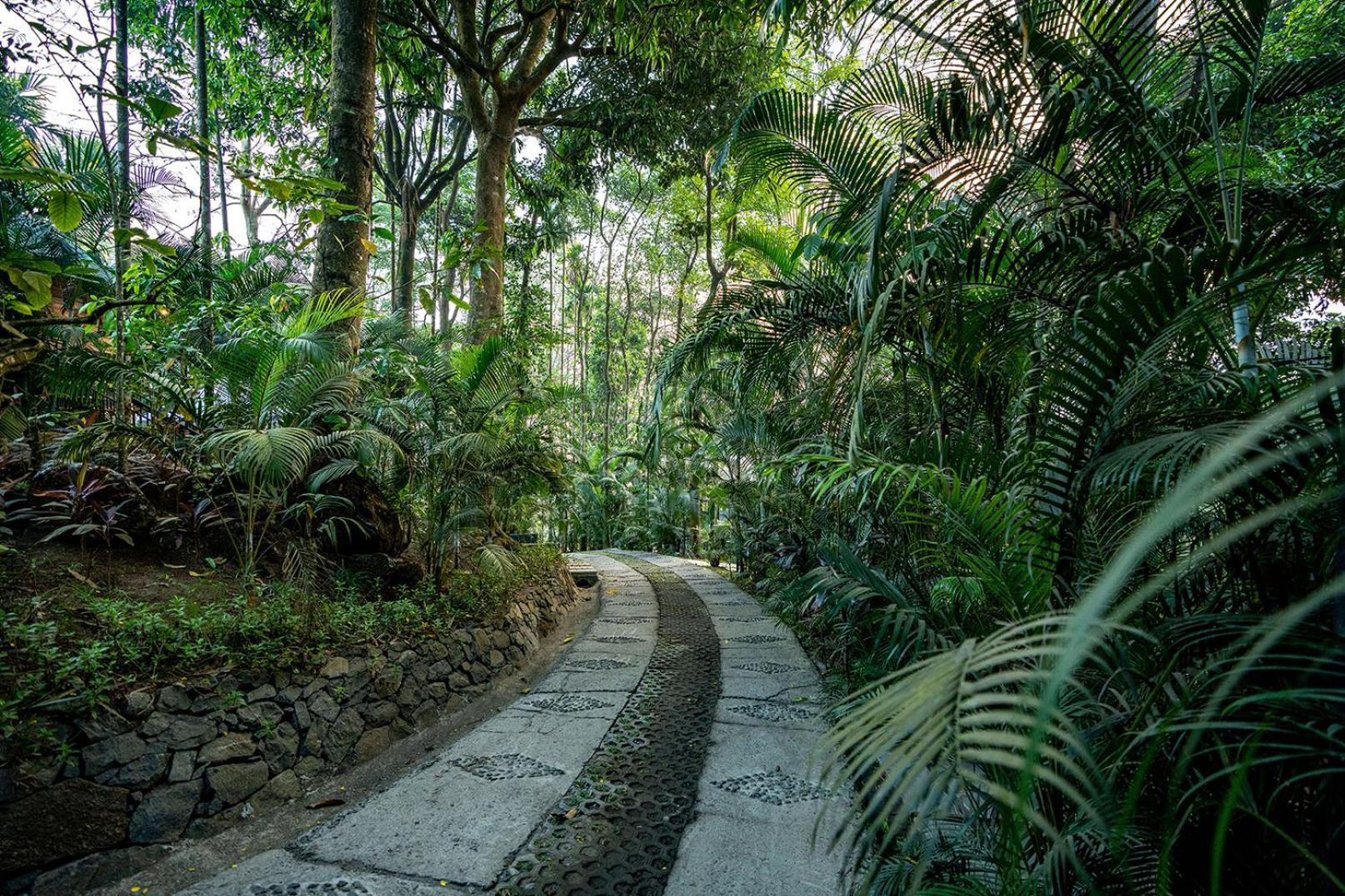 The Hive, Wayanad Hotel Exterior photo