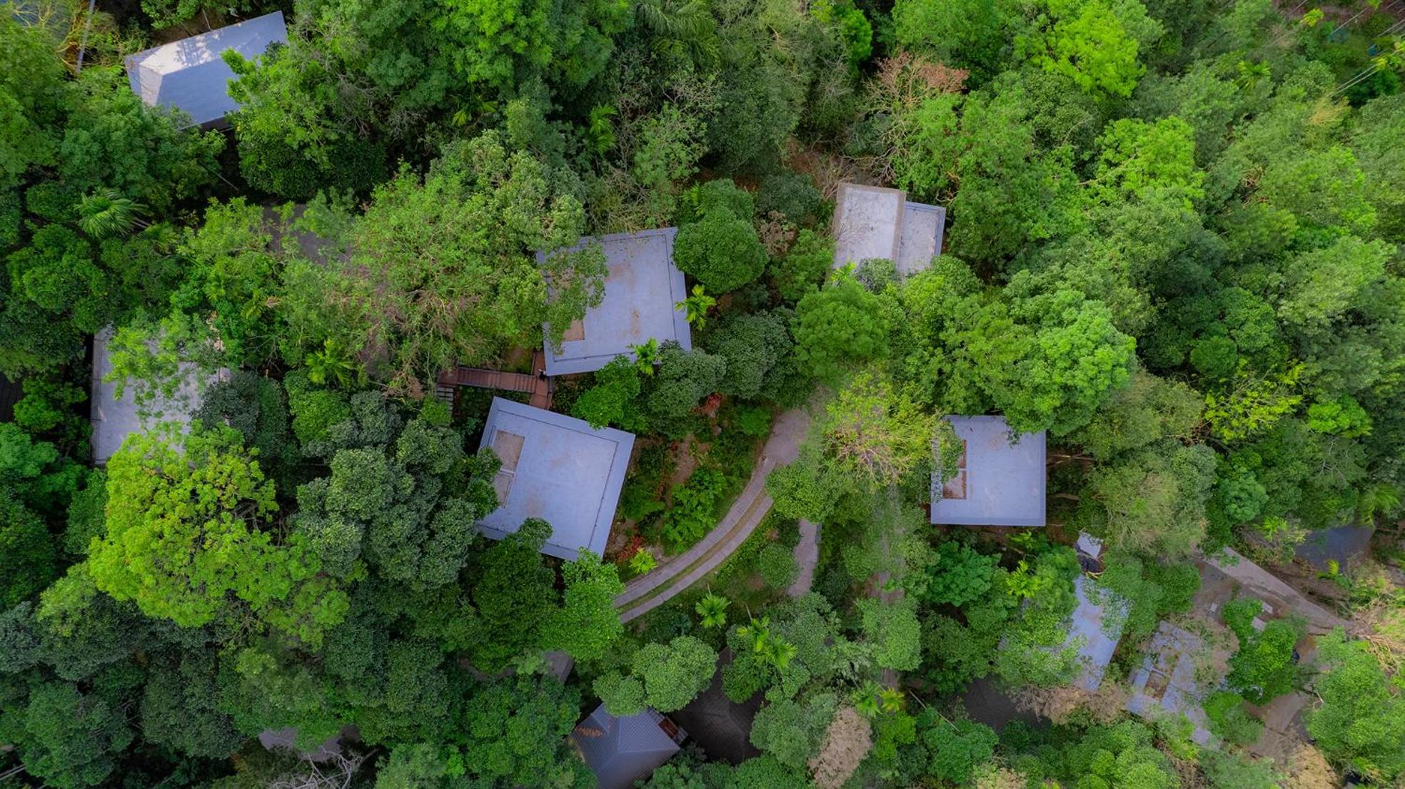 The Hive, Wayanad Hotel Exterior photo